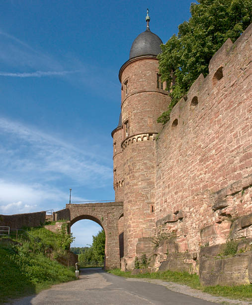 istock Wertheim Castle detail at summer time 118355935