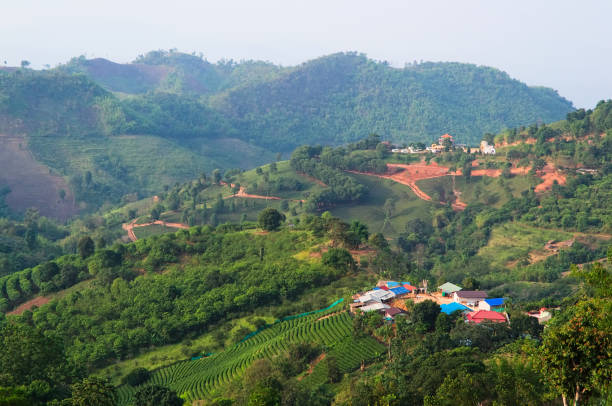 istock Small village in mountains with tea plantations 1183559763