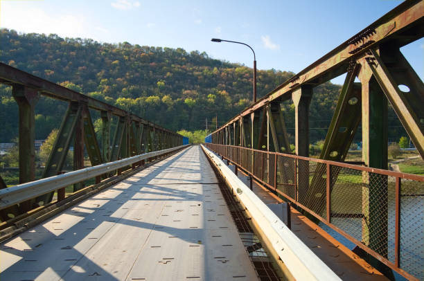 istock Old steel bridge across river 1183559787