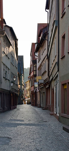 istock Wertheim Old Town detail 118356000