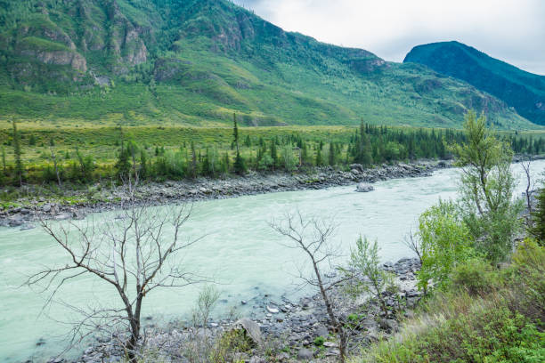 istock Mountain river in green valley 1183561019