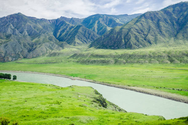 istock Mountain river in green valley 1183561037