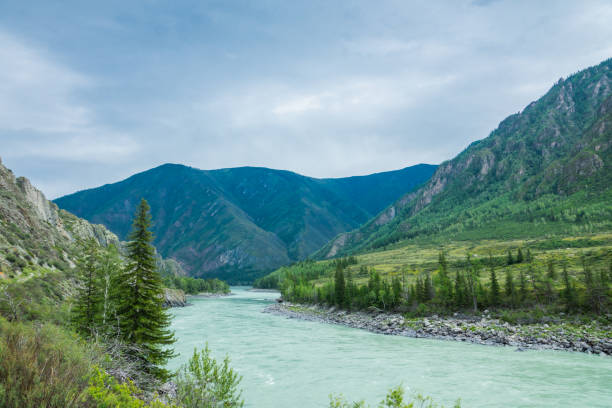 istock Mountain river in green valley 1183561041