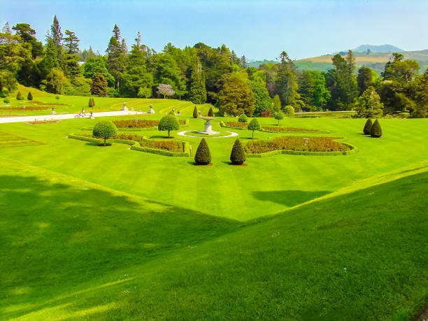 istock Gardens in Ireland 1183562020