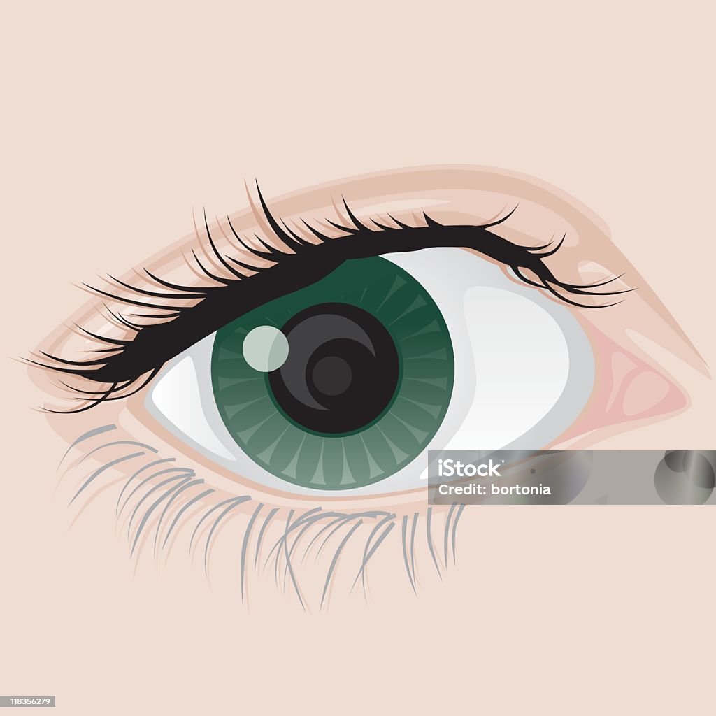 Primer plano de los ojos - arte vectorial de Color - Tipo de imagen libre de derechos