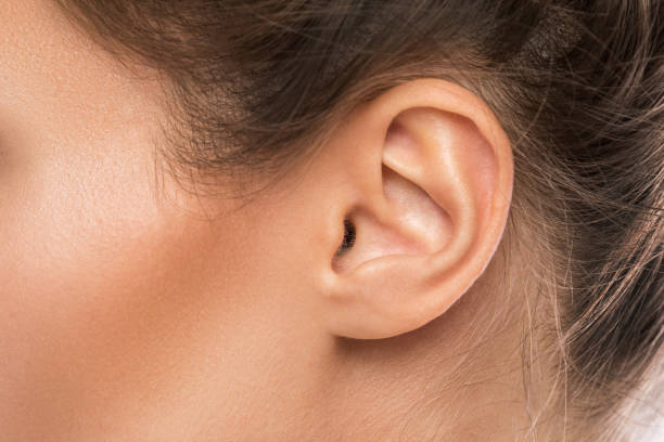 oreja femenina - human ear fotografías e imágenes de stock