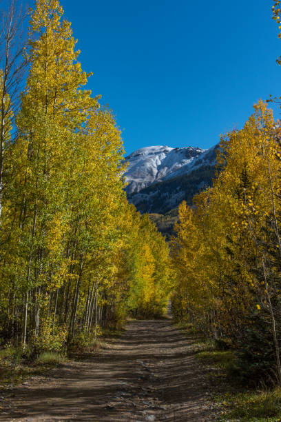 istock A Beautiful Mountain Road During Fall Color Peak Season 1183567209