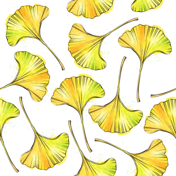 ilustraciones, imágenes clip art, dibujos animados e iconos de stock de gingko leaf ink y acuarela seamless pattern - vector illustration - ginkgo ginkgo tree chinese medicine healthcare and medicine