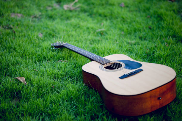 istock Guitar Laying in Grass 1183568670