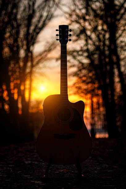 istock Acoustic guitar in the dark autumn forest. 1183569146