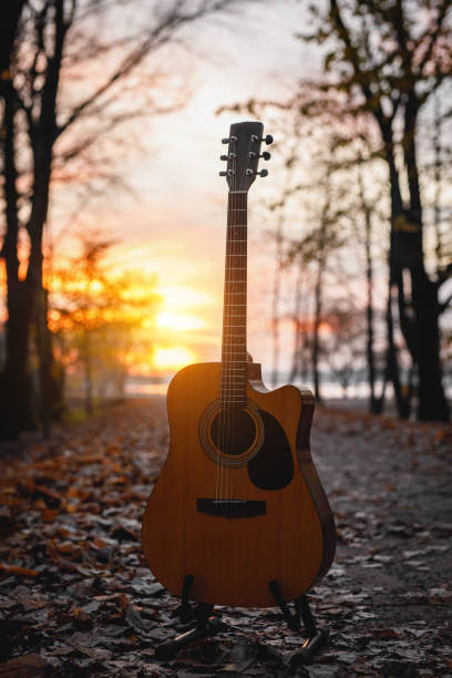 istock Acoustic guitar in the dark autumn forest. 1183569167