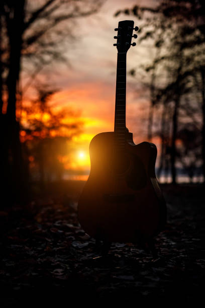 istock Acoustic guitar in the autumn forest. 1183569189