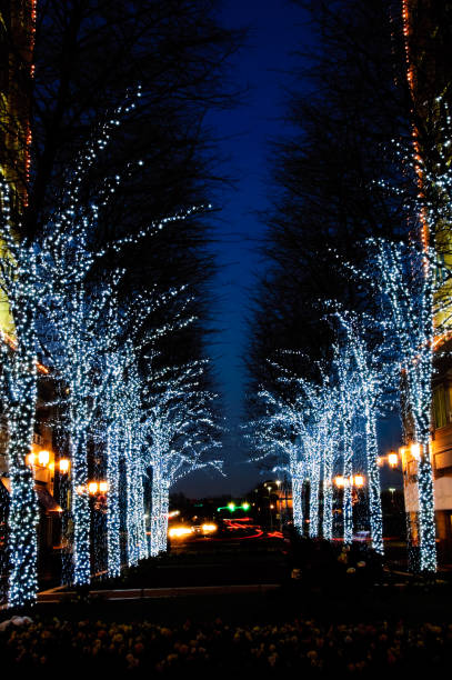 istock Street with Christmas decorations 118356942