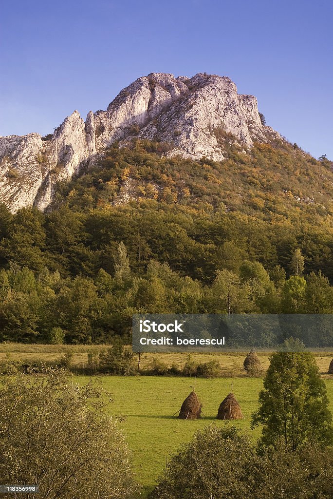 Limestone mountain ridge mit Wald und Wiese - Lizenzfrei Agrarbetrieb Stock-Foto