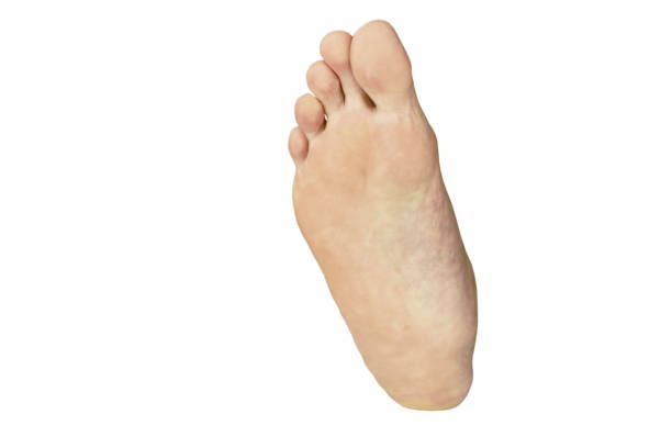 child's feet on a white background