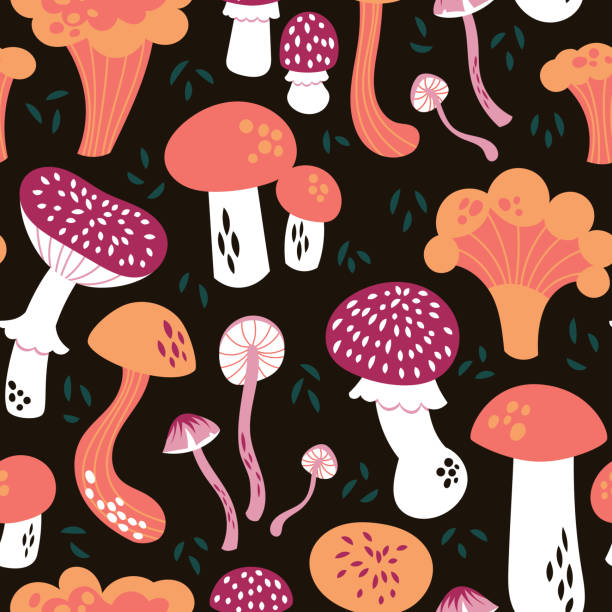 ilustrações, clipart, desenhos animados e ícones de padrão vetorial - mushroom edible mushroom red botany