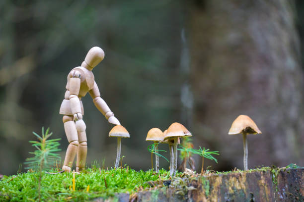 Mushrooms for fantasy scene,3D illustration