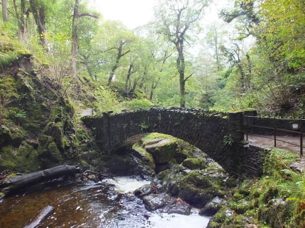 istock The Bridge at Aira Force, Cumbria, UK 1183576534