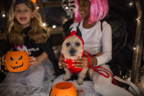 dzieci na halloweenowym namiocie - house halloween autumn candid zdjęcia i obrazy z banku zdjęć