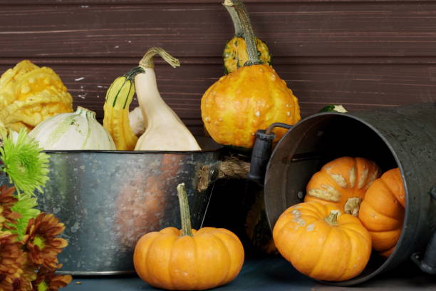 istock Still life of squahes in fall 1183577610