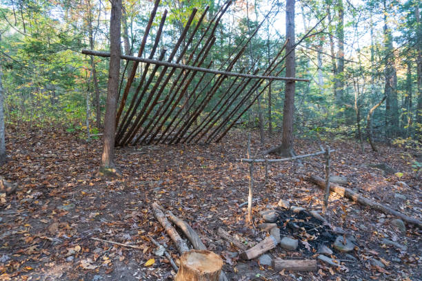Primitive Survival Bushcraft shelter with pot hanger and campfire. Shelter in the blue Ridge Mountain wilderness of Asheville, North Carolina. stock photo