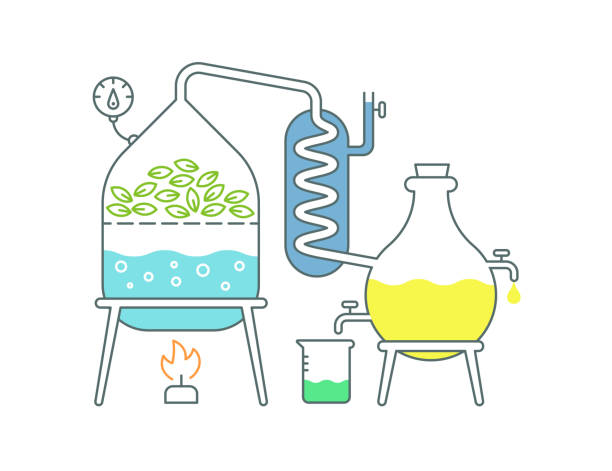 Essential oil making. Distillations aromatic oils production Perfumery substances Distiller equipment. Essential oil making. Distillations aromatic oils production Perfumery substances Distiller equipment. Flat vector illustration. oil supply stock illustrations