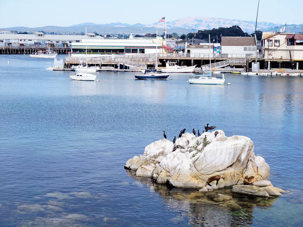 Seascape view of of rocky shore along Pacific Grove.Taken along Pacific Grove, California, USA.
