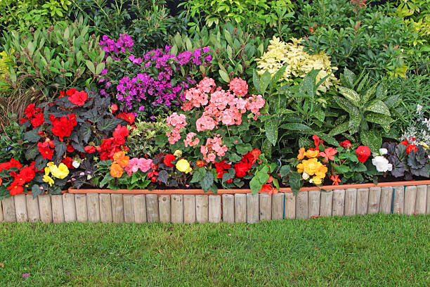 flowerbed stock photo