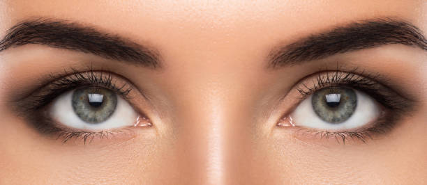 istock Beautiful female eyes 1183586231