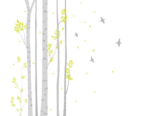 Birch Tree with deer and birds Silhouette Background Vector Illustration of Birch Tree with deer and birds Silhouette Background

eps10 birch bark background stock illustrations