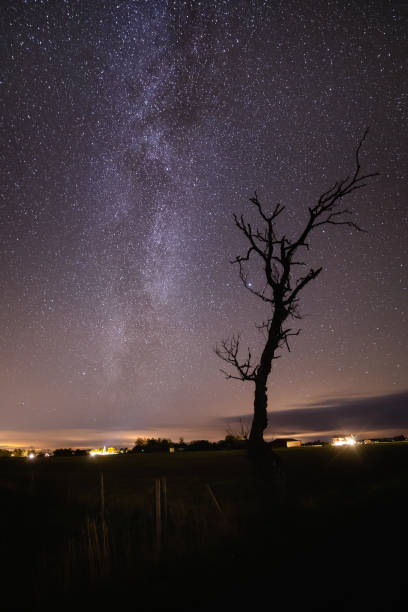 istock Milky way in southern Sweden 1183587743