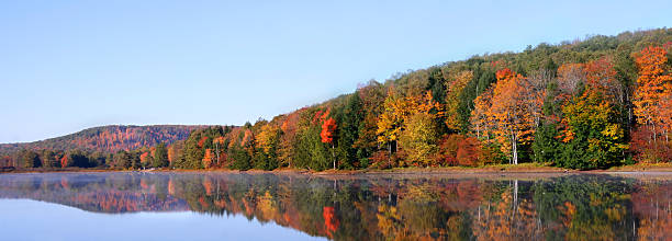 Autumn panorama stock photo