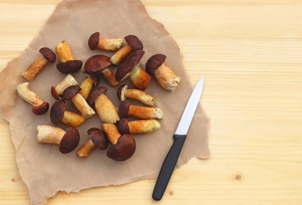 istock mushrooms on a cutting board 1183592834