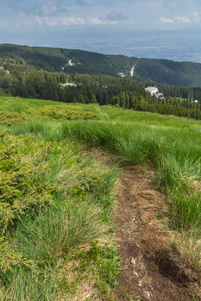 istock Summer view of Vitosha Mountain, Bulgaria 1183596098