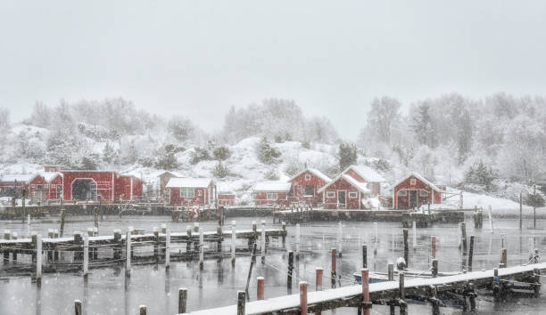istock Snowing in marina 1183598393