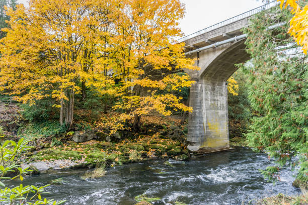 istock Tumwater Falls Park Bridge 2 1183598916