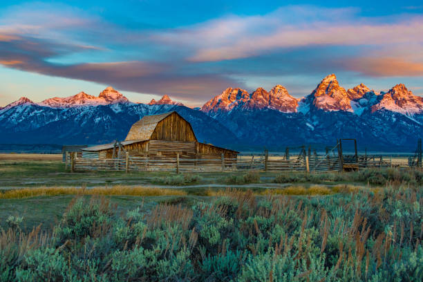 the iconic john moulton barn on mormon row-jackson, wyoming - snake river fotos stock-fotos und bilder