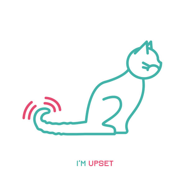 Cat Behavior Icon Stock Illustration - Download Image Now - Domestic Cat,  Language, Tail - iStock
