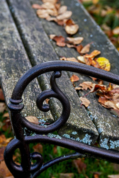 istock Park bench,  close up armrest, leaves on seat 1183601172