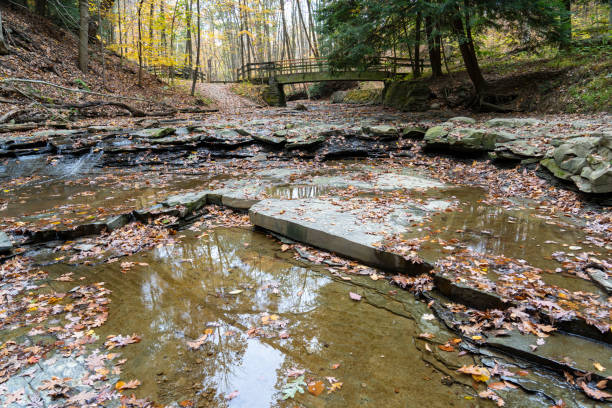 Shale river stream in forest with wooden bridge