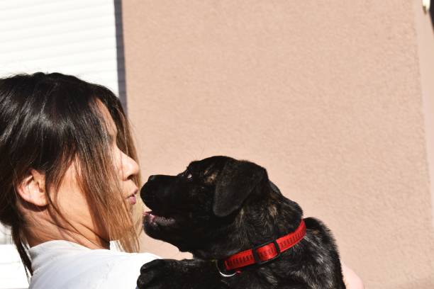 istock Woman and a puppy 1183604993