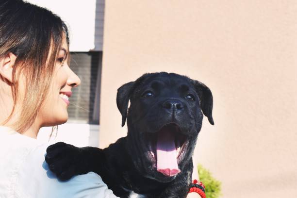 istock Woman holding a puppy 1183607041