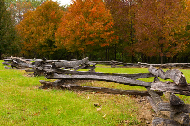 istock Wooden fence in Fall 1183608302