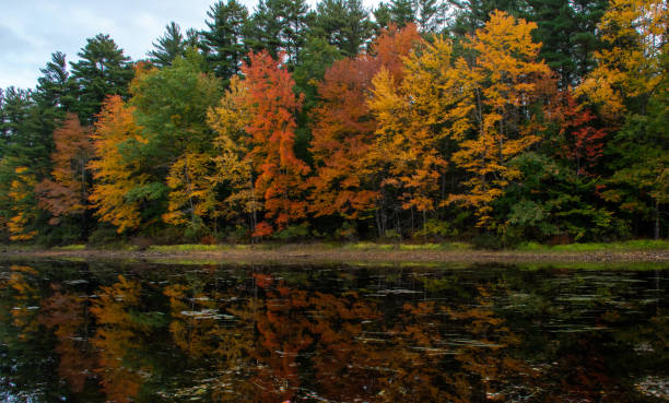 istock Sebago Lake in Maine 1183608417