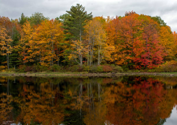 110+ Lac Sebago Photos Photos, taleaux et images libre de droits iStock