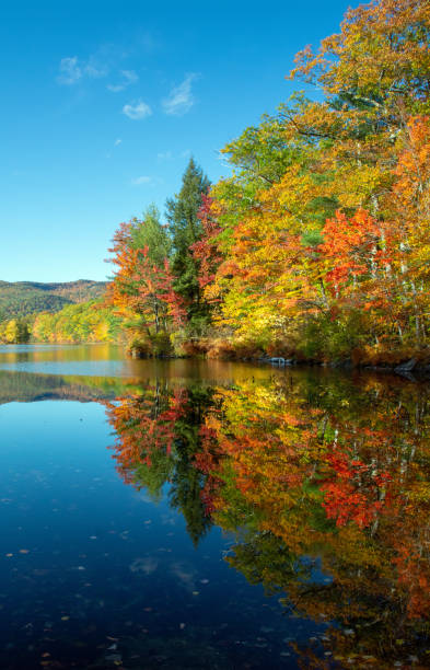 Virginia Lakes Foliage stock photo