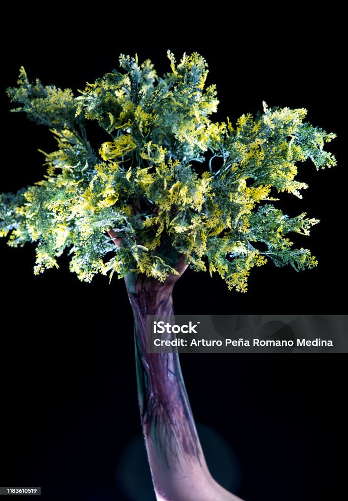 Hand Par Tree Hand Tree Stock Photo - Download Image Now - Arm, Blossom, Care - iStock
