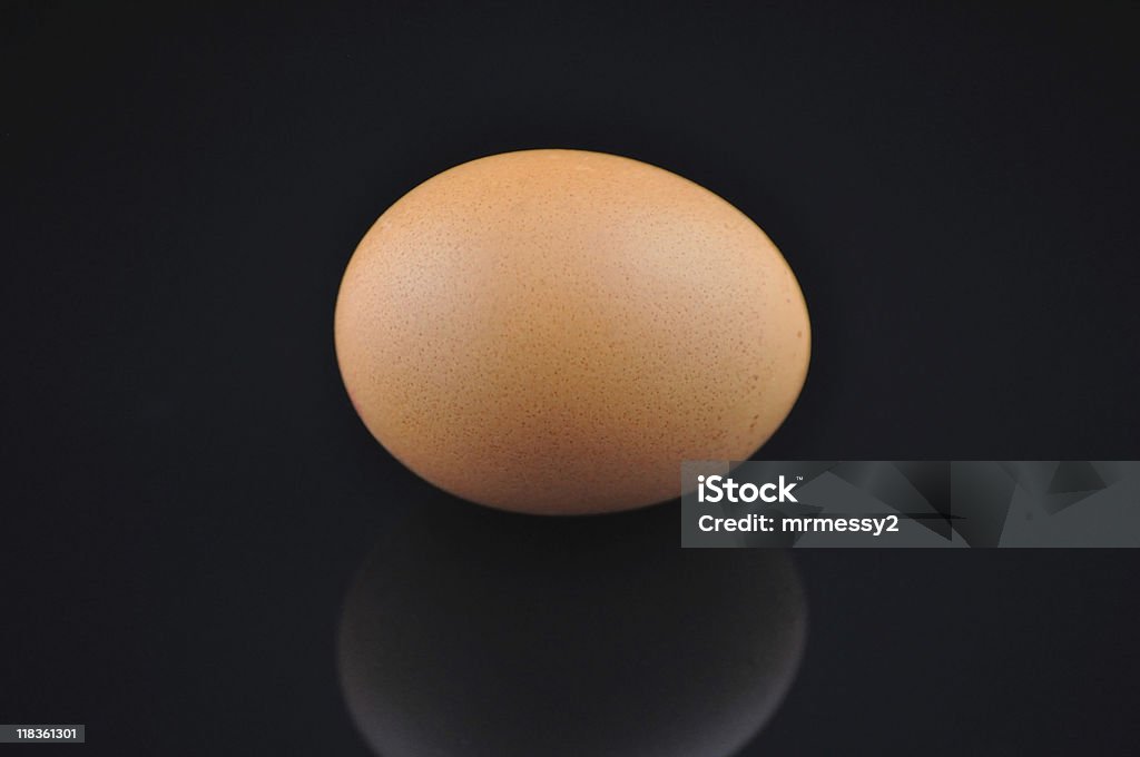 Egg isolated on black  Animal Egg Stock Photo