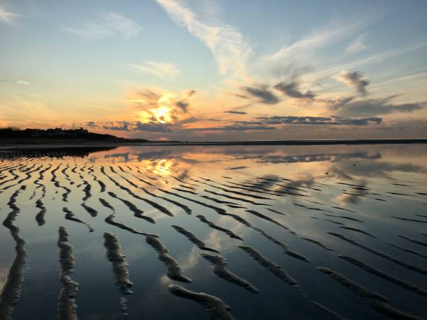 케이프 대구 모래 잔물결과 반사와 모래 언덕 - cape cod national seashore 뉴스 사진 이미지