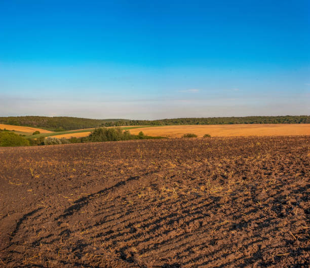 istock Plowed Farmland Bathed in Warm Evening Sunlight 1183617021